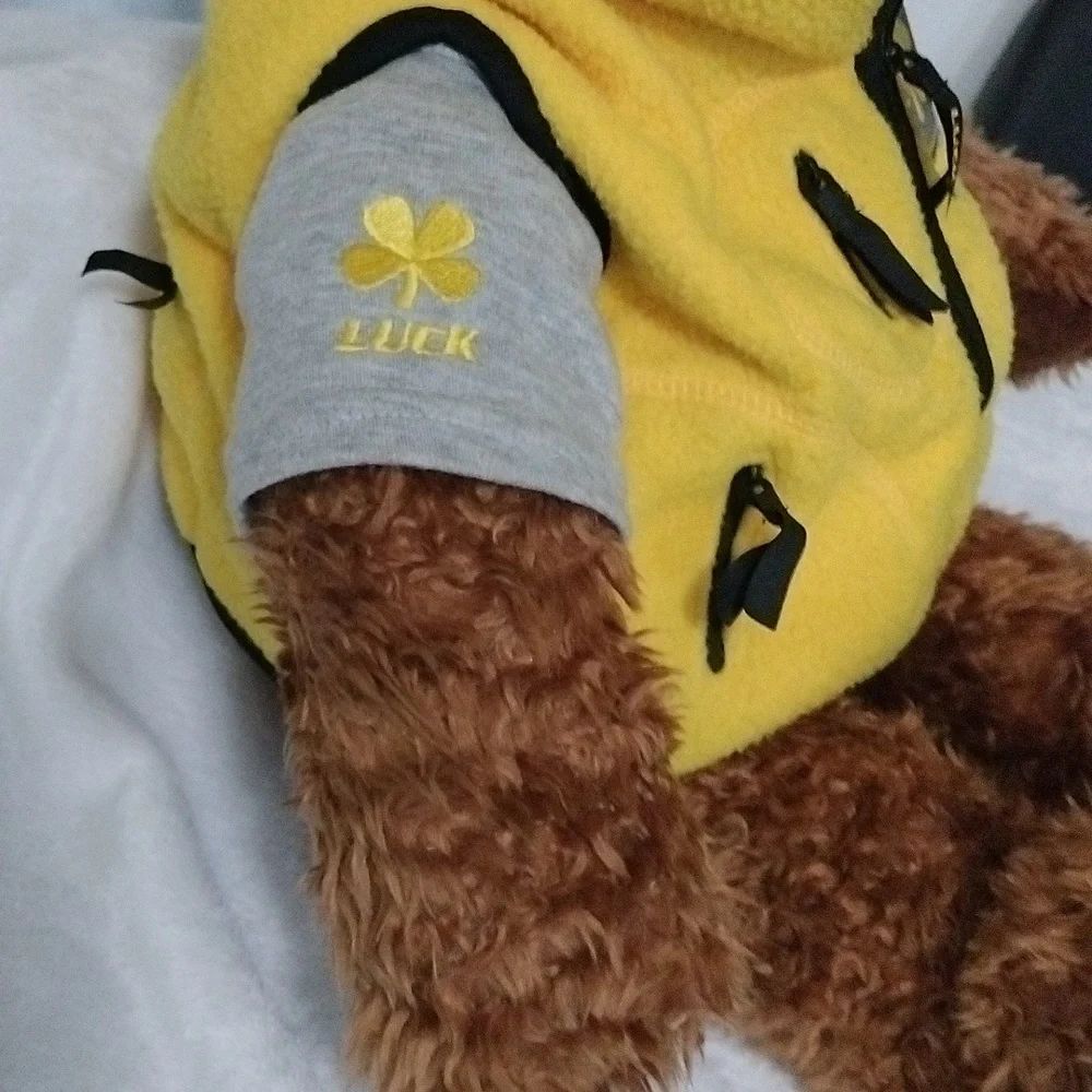 Wish Bear Luck limited edition